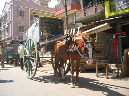 Wood transported by horse