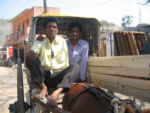 Wood transported by horse