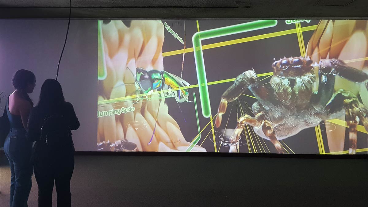 CAON - control and optimize nature, Festival Internacional de la Imagen, Museo de Arte de Caldas, Manizales, Colombia