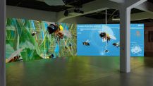Honey Bees, CAON - control and optimize nature, installation view