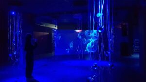 Losing Oneself – Voices from the Deep Sea, HEK (House of Electronic Arts), Basel, Switzerland