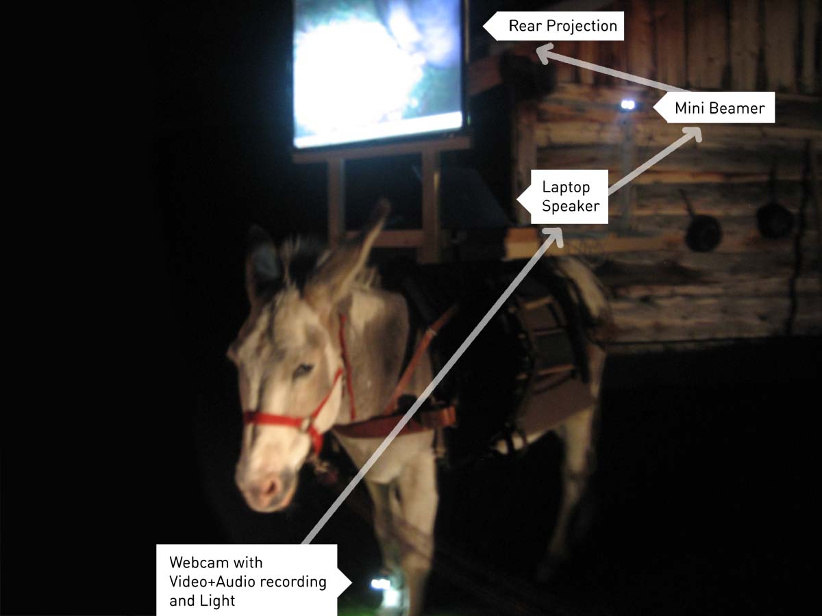 Media donkeys mobile formats - donkey transformed into a mobile-media station