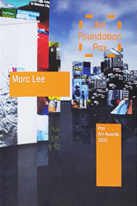 Virtual city, Marc Lee