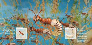 Speculative Evolution, Ant-Silkworm Chimera, Screenshot