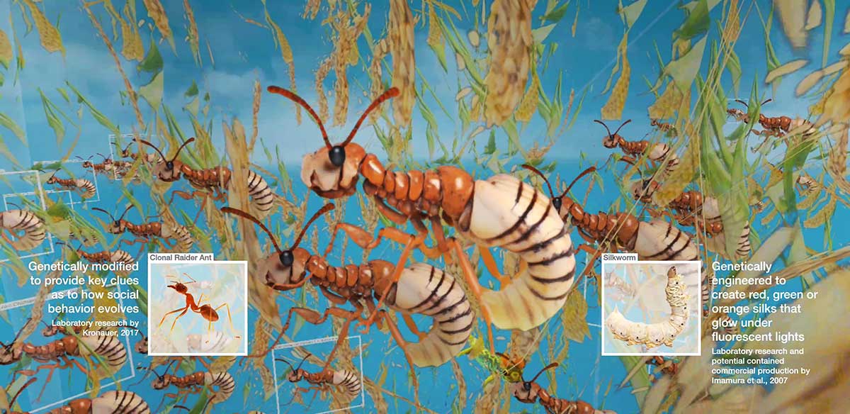 Speculative Evolution, Ant-Silkworm Chimera, Screenshot