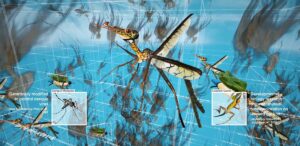 Speculative Evolution, Mosquito-Gecko Chimera, Screenshot