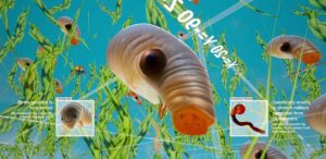 Speculative Evolution, Tardigrade-Insestrialworm Chimera, Screenshot