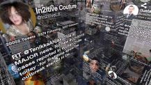 New Media Art Reflect the Coronavirus Pandemic - Screenshot